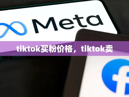 tiktok买粉价格，tiktok卖