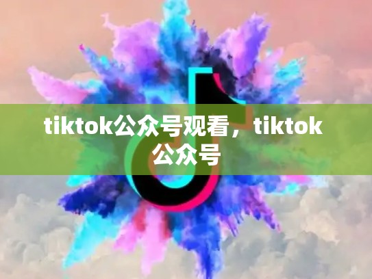 tiktok公众号观看，tiktok 公众号