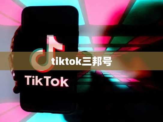 tiktok三邦号