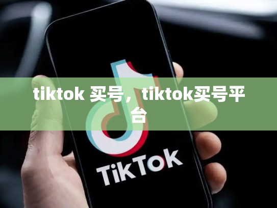 tiktok 买号，tiktok买号平台