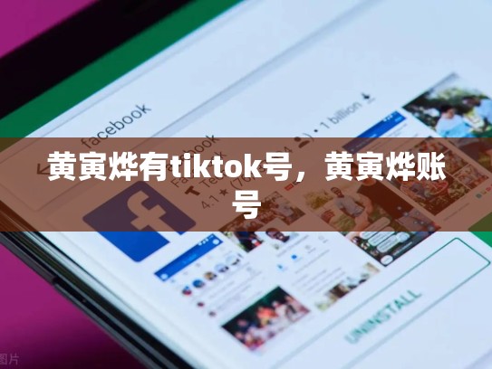 黄寅烨有tiktok号，黄寅烨账号