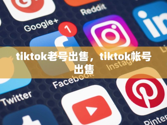 tiktok老号出售，tiktok帐号出售