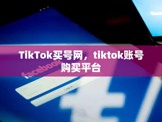 TikTok买号网，tiktok账号购买平台