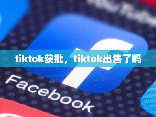 tiktok获批，tiktok出售了吗