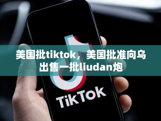美国批tiktok，美国批准向乌出售一批liudan炮