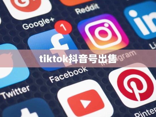 tiktok抖音号出售