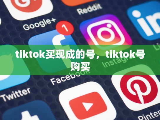 tiktok买现成的号，tiktok号购买