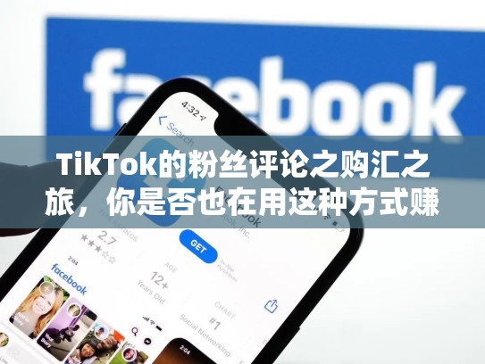 TikTok的粉丝评论之购汇之旅，你是否也在用这种方式赚取收入？tiktok没有评论