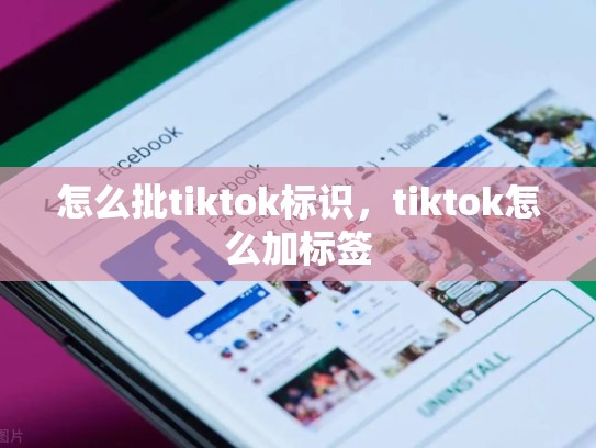 怎么批tiktok标识，tiktok怎么加标签