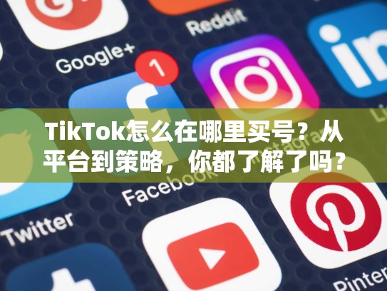 TikTok怎么在哪里买号？从平台到策略，你都了解了吗？怎么在tiktok上买东西