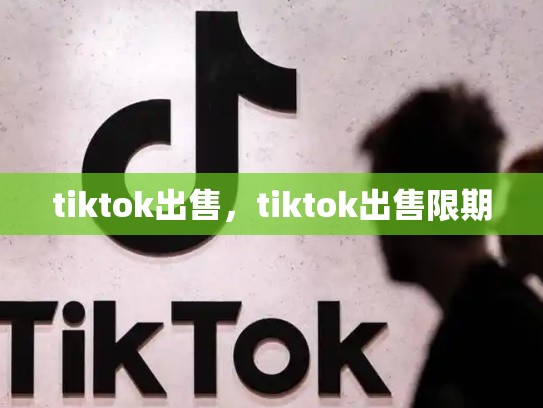 tiktok出售，tiktok出售限期