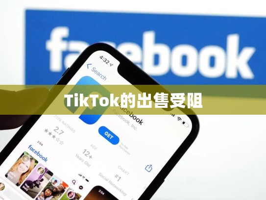 TikTok的出售受阻
