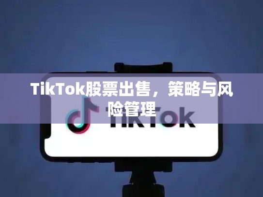 TikTok股票出售，策略与风险管理