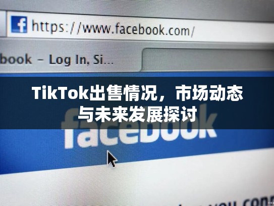 TikTok出售情况，市场动态与未来发展探讨