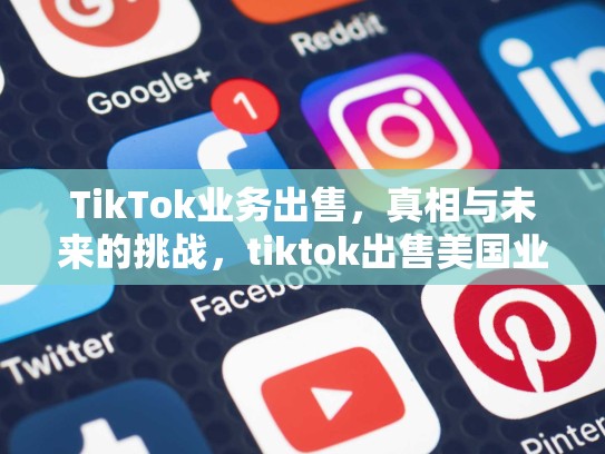 TikTok业务出售，真相与未来的挑战，tiktok出售美国业务