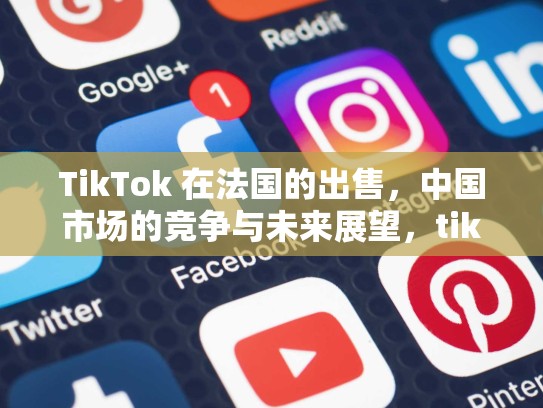 TikTok 在法国的出售，中国市场的竞争与未来展望，tik tok法国
