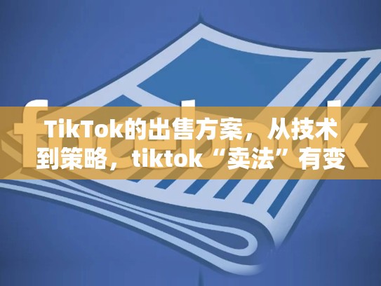 TikTok的出售方案，从技术到策略，tiktok“卖法”有变