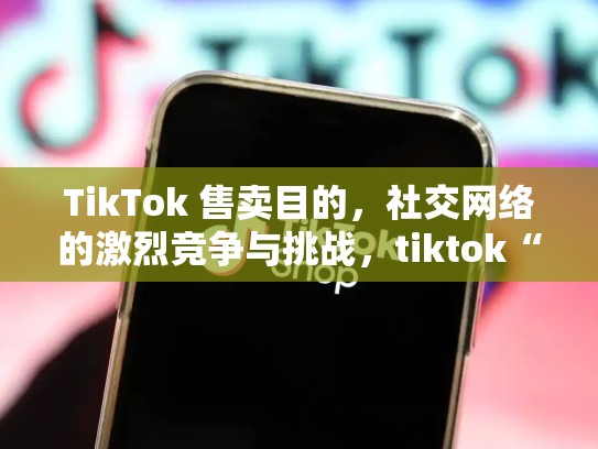 TikTok 售卖目的，社交网络的激烈竞争与挑战，tiktok“卖法”有变