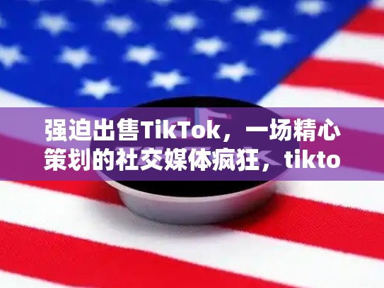 强迫出售TikTok，一场精心策划的社交媒体疯狂，tiktok被强制出售给微软
