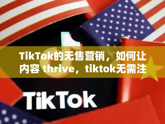 TikTok的无售营销，如何让内容 thrive，tiktok无需注册
