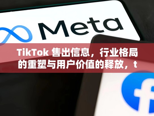 TikTok 售出信息，行业格局的重塑与用户价值的释放，tik tok 卖货