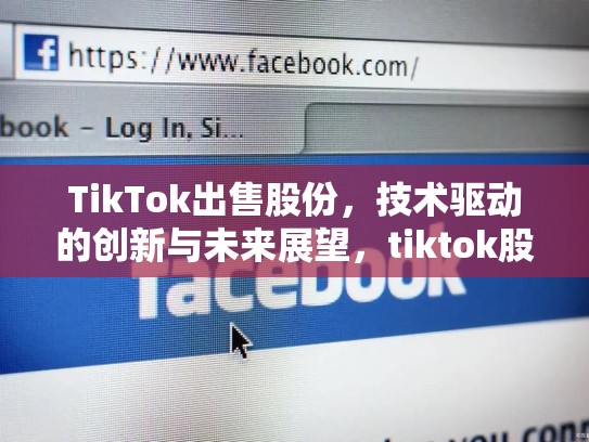 TikTok出售股份，技术驱动的创新与未来展望，tiktok股权比例