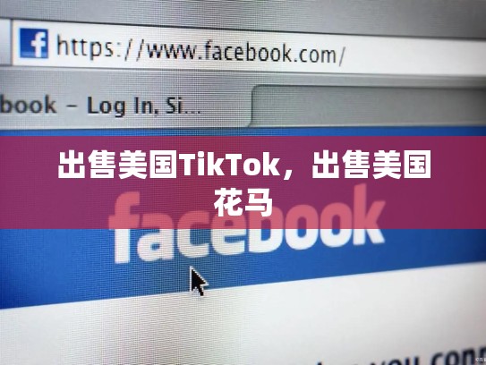 出售美国TikTok，出售美国花马