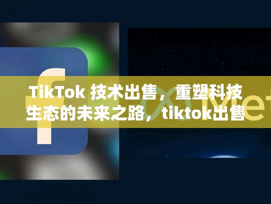 TikTok 技术出售，重塑科技生态的未来之路，tiktok出售美国业务