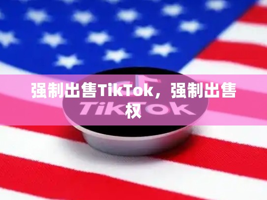 强制出售TikTok，强制出售权