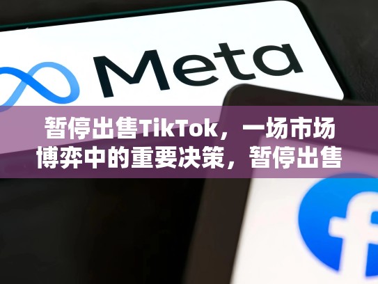 暂停出售TikTok，一场市场博弈中的重要决策，暂停出售的宾利有哪些