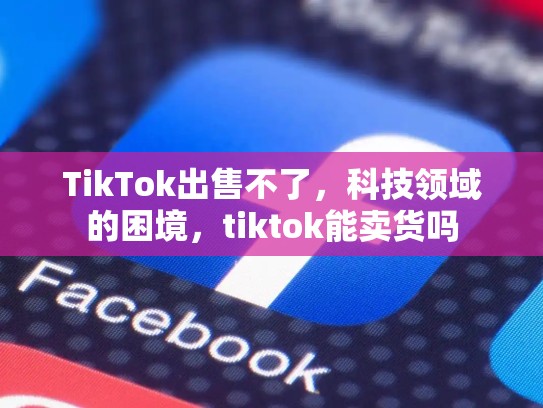 TikTok出售不了，科技领域的困境，tiktok能卖货吗