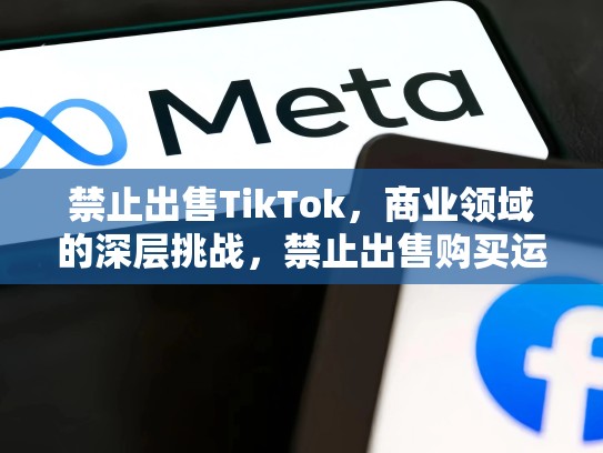 禁止出售TikTok，商业领域的深层挑战，禁止出售购买运输持有和使用伪造变造的renmin币