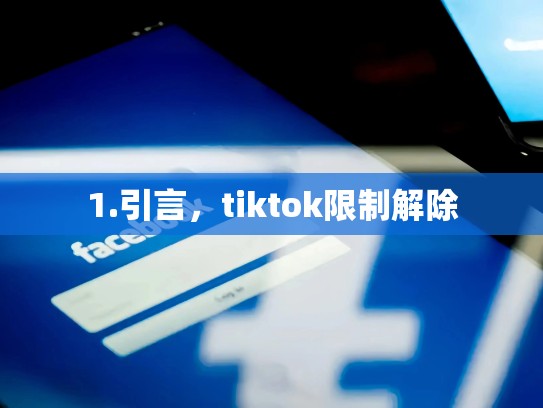 1.引言,tiktok限制解除