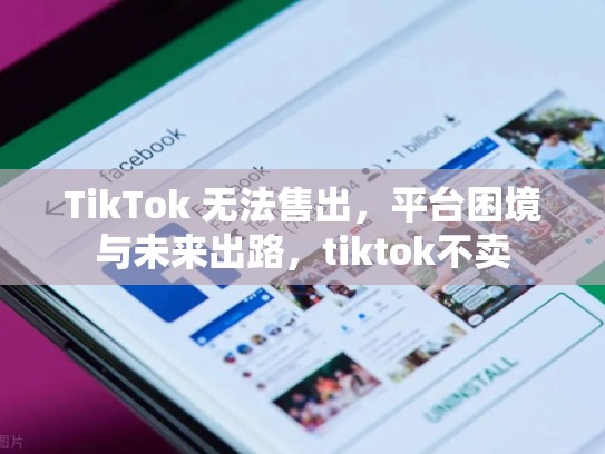 TikTok 无法售出，平台困境与未来出路，tiktok不卖