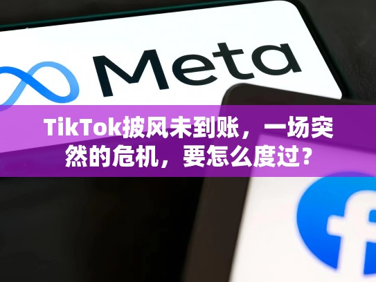 TikTok披风未到账，一场突然的危机，要怎么度过？