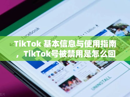 TikTok 基本信息与使用指南，TikTok号被禁用是怎么回事