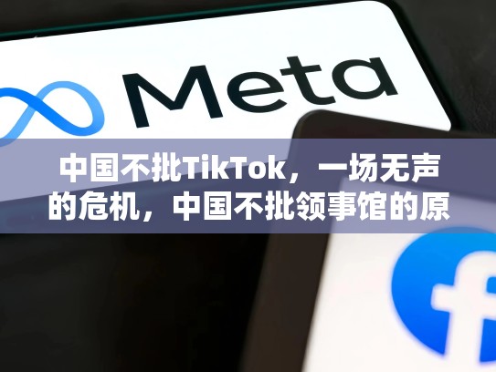 中国不批TikTok,一场无声的危机,中国不批领事馆的原因