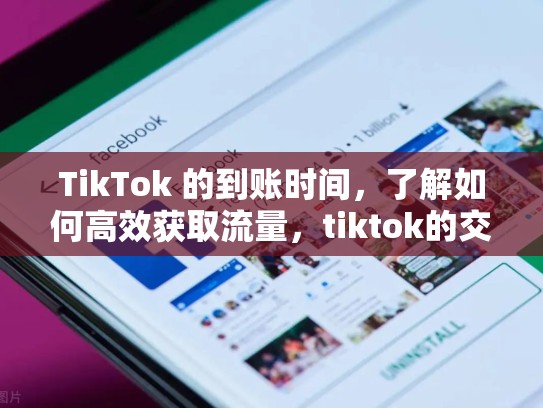 TikTok 的到账时间，了解如何高效获取流量，tiktok的交易或在明天宣布