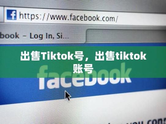 出售Tiktok号，出售tiktok账号