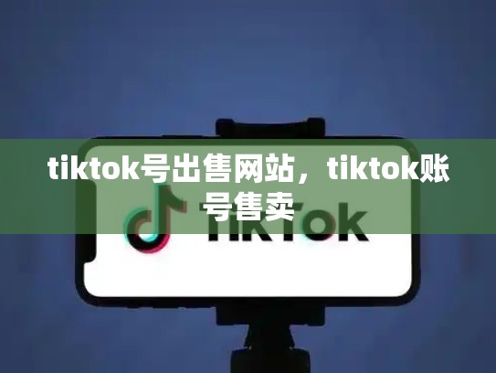 tiktok号出售网站，tiktok账号售卖