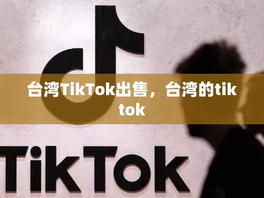 台湾TikTok出售，台湾的tiktok