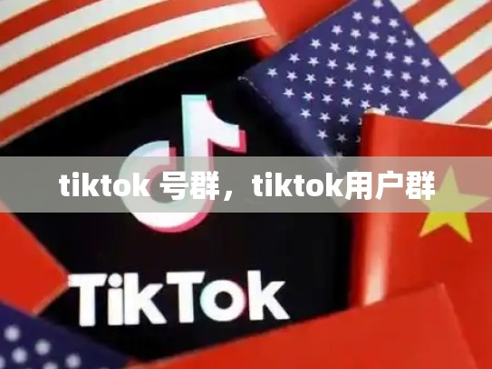 tiktok 号群，tiktok用户群