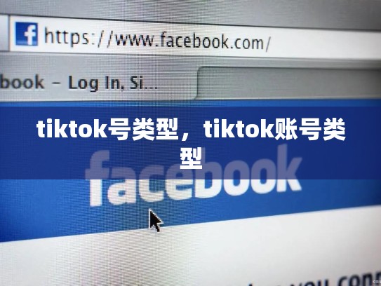 tiktok号类型，tiktok账号类型
