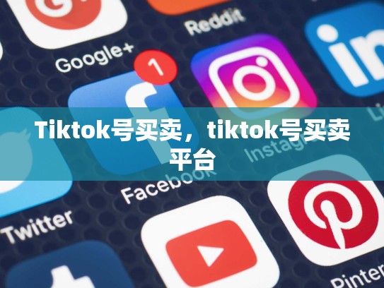Tiktok号买卖，tiktok号买卖平台