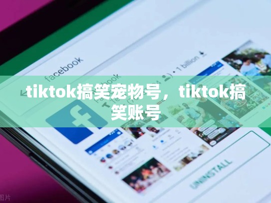tiktok搞笑宠物号，tiktok搞笑账号