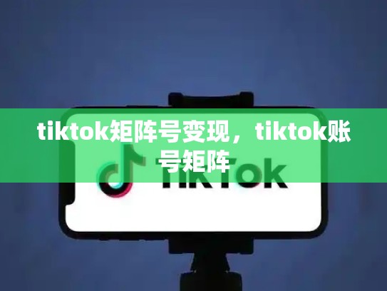 tiktok矩阵号变现，tiktok账号矩阵