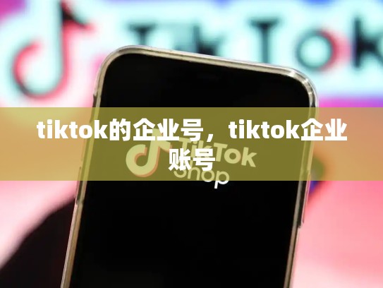 tiktok的企业号，tiktok企业账号