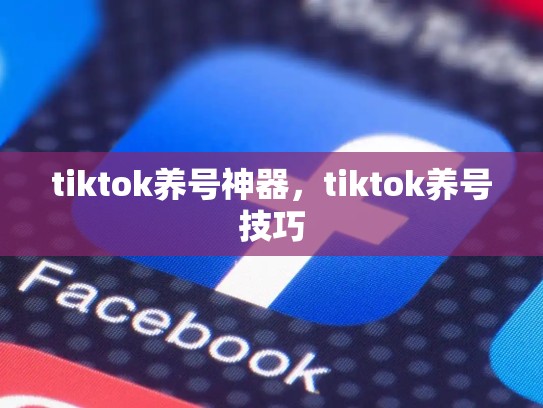 tiktok养号神器，tiktok养号技巧