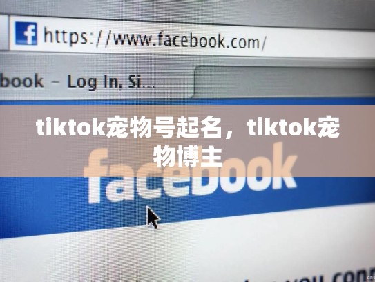 tiktok宠物号起名，tiktok宠物博主