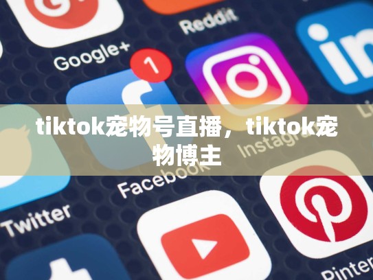 tiktok宠物号直播，tiktok宠物博主
